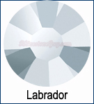 Labrador