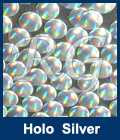Hot Fix Spot Holographic Silver
