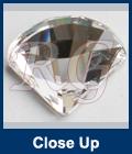 Swarovski Fan Close Up