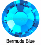 bermuda blue preciosa Maxima