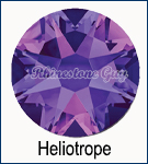 Bright Choice EuroStar Heliotrope