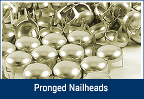 pronged nailheads