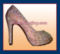 Rhinestone Shoe Strassed